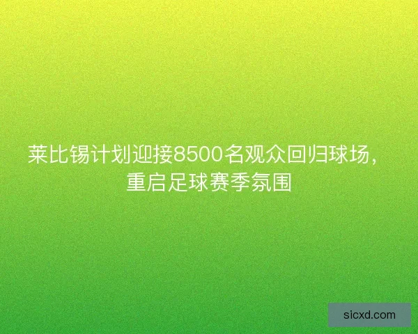 莱比锡计划迎接8500名观众回归球场，重启足球赛季氛围
